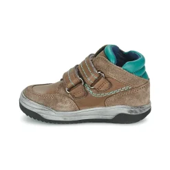 Acebo's - ACERA Taupe Discount