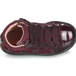 Acebo's Baskets Mode^- MASSA