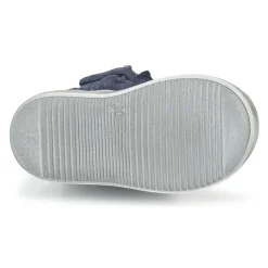 Acebo's - MOULLY Bleu Best