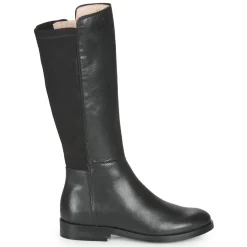 Acebo's - 9864-NEGRO-T< Bottes