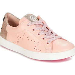 Acebo's - VEMULTIT Rose Outlet