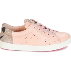 Acebo's - VEMULTIT Rose Outlet