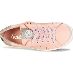 Acebo's - VEMULTIT Rose Outlet