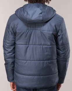 adidas Originals -< Manteaux