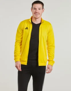 adidas Performance Joggings & Survêtements^- HI2134
