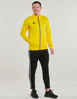 adidas Performance Joggings & Survêtements^- HI2134