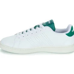 Adidas Sportswear - ADVANTAGE< Baskets Mode
