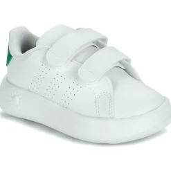 Adidas Sportswear - ADVANTAGE CF I Online
