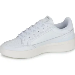 Adidas Sportswear - ASPYRE< Baskets Mode