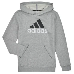 Adidas Sportswear - BL 2 HOODIE< Sweats & Polaires
