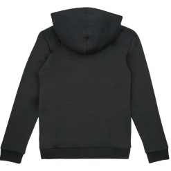 Adidas Sportswear - BL 2 HOODIE