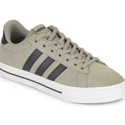 Adidas Sportswear Baskets Mode^- DAILY 4.0