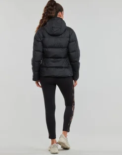Adidas Sportswear - ESS M D HO J< Manteaux