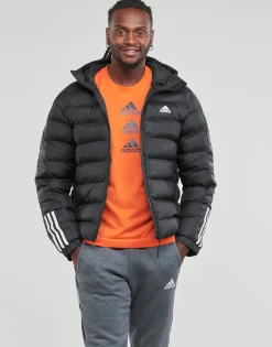 Adidas Sportswear Manteaux^- ITAVIC M H JKT