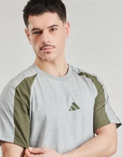 Adidas Sportswear T-shirts & Polos^- JC6177