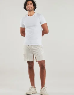 Adidas Sportswear - JW1909< Shorts & Bermudas