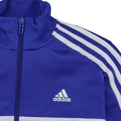Adidas Sportswear Joggings & Survêtements^- 3S TIBERIO TS