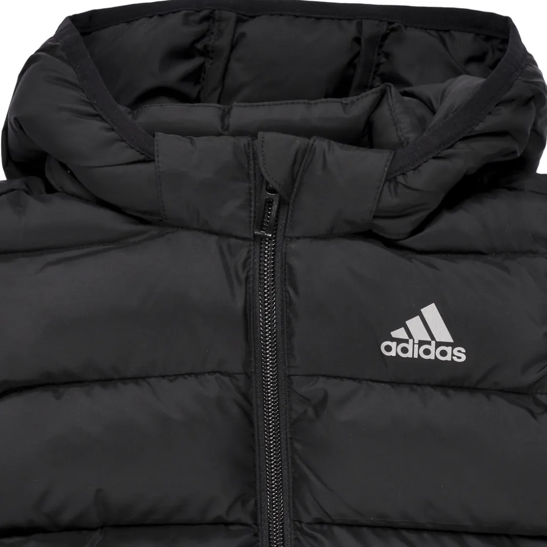 Adidas Sportswear - Synthetic Down Jacket< Manteaux