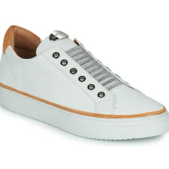 Adige - QUANTON4 V8< Baskets Mode