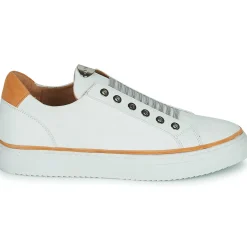 Adige - QUANTON4 V8< Baskets Mode