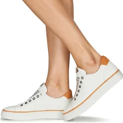 Adige - QUANTON4 V8< Baskets Mode