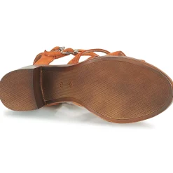 Adige - ROSYA V3 Marron Clearance