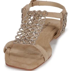 ALMA EN PENA - V251916 Beige New