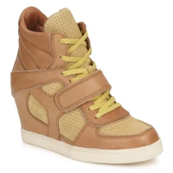Ash Baskets Mode^- COCA