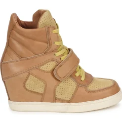 Ash Baskets Mode^- COCA