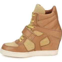 Ash Baskets Mode^- COCA