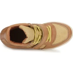 Ash Baskets Mode^- COCA