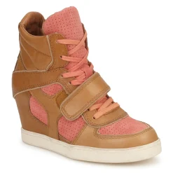 Ash Baskets Mode^- COCA
