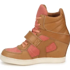 Ash Baskets Mode^- COCA