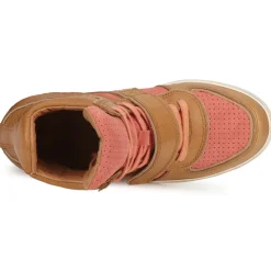 Ash Baskets Mode^- COCA