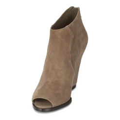 Ash - LYNX Taupe