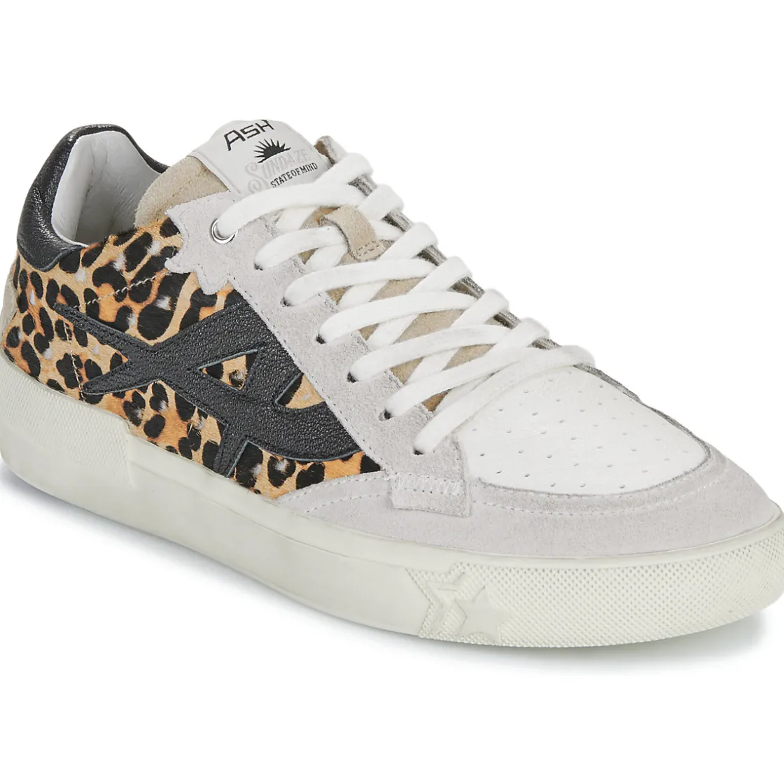 Ash - MOONLIGHT Leopard Online