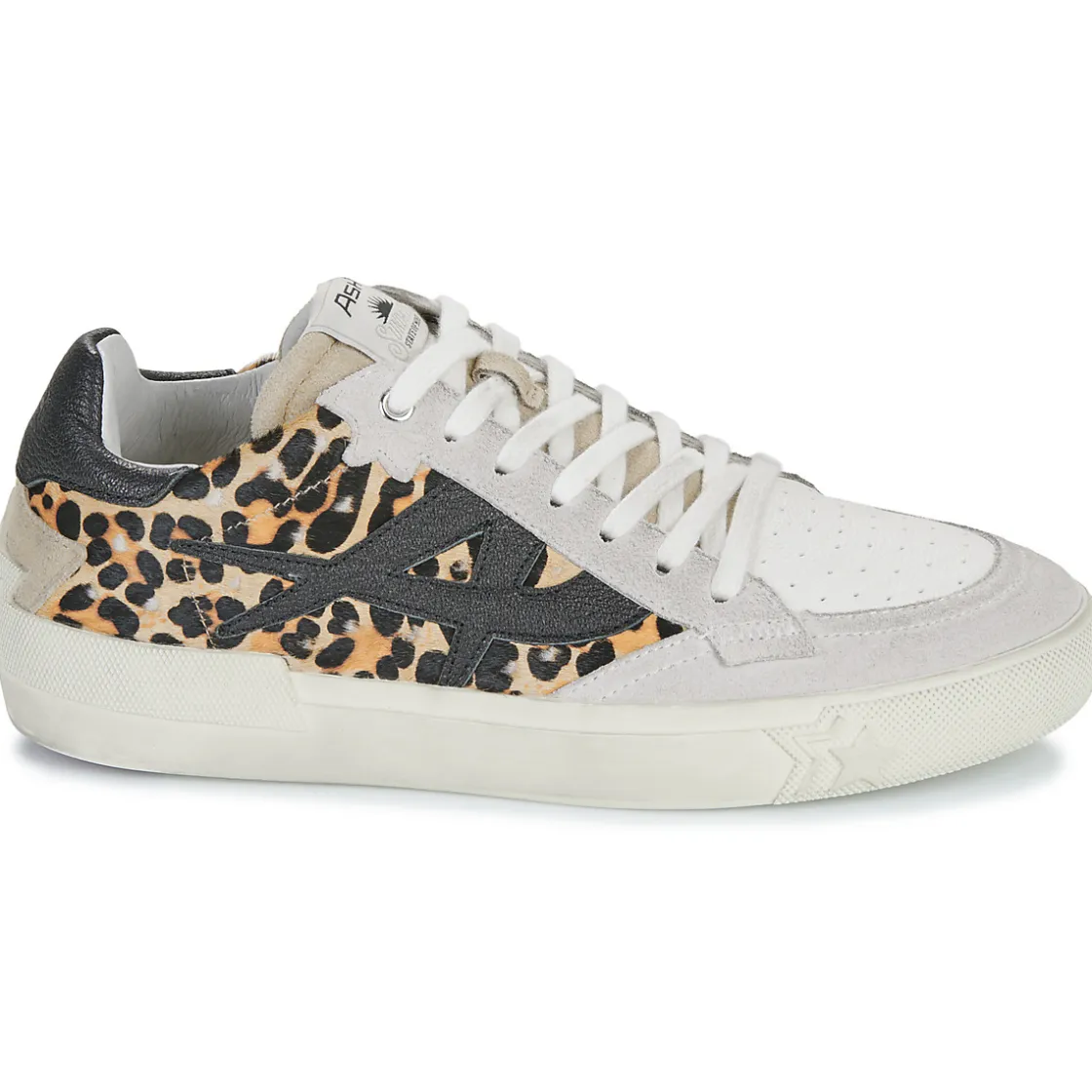 Ash - MOONLIGHT Leopard Online