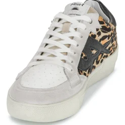 Ash - MOONLIGHT Leopard Online