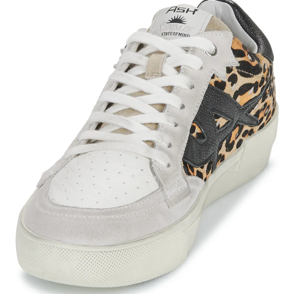 Ash - MOONLIGHT Leopard Online
