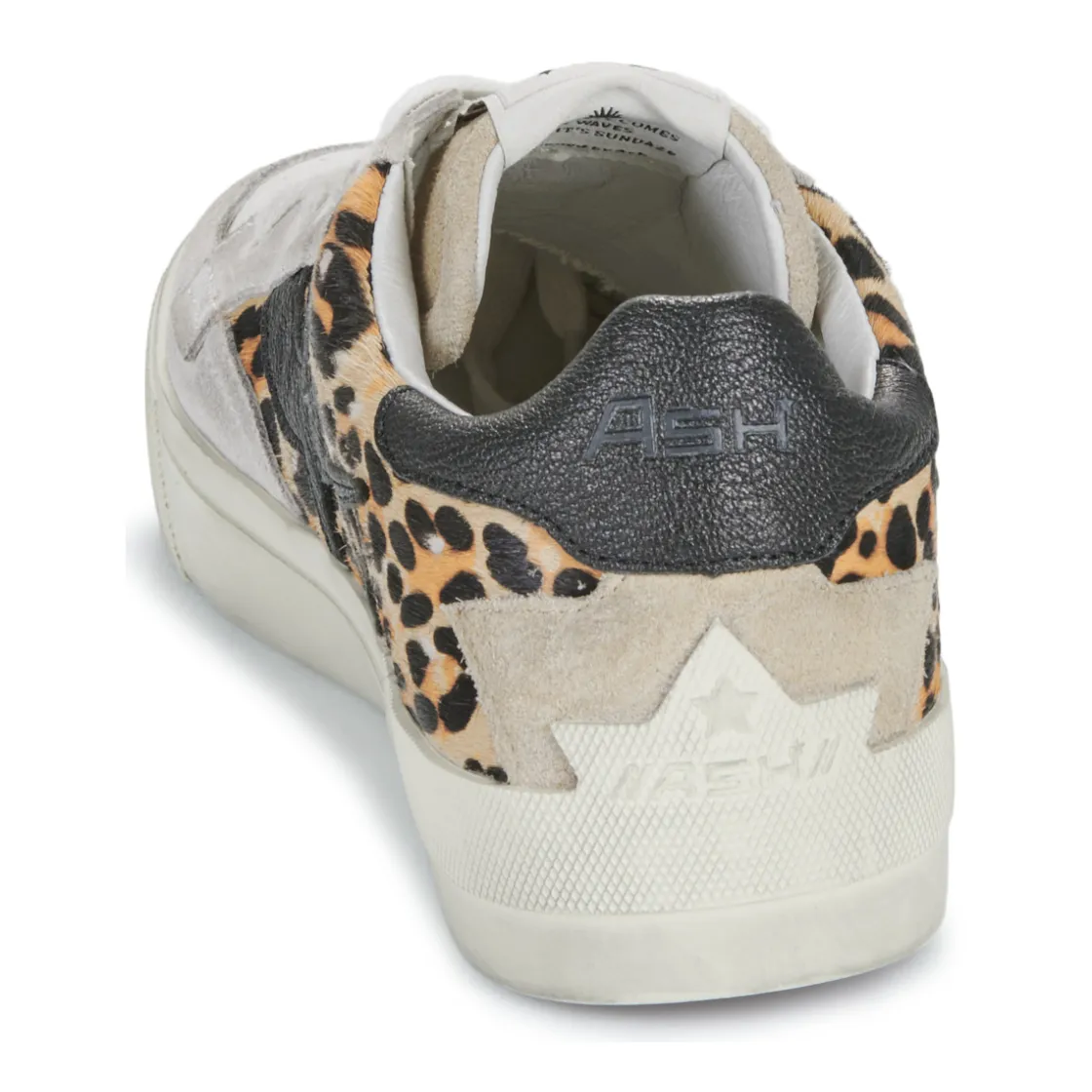 Ash - MOONLIGHT Leopard Online
