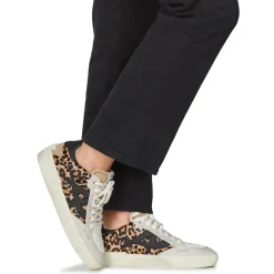 Ash - MOONLIGHT Leopard Online
