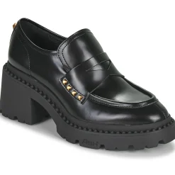 Ash - NELSON STUD Noir New