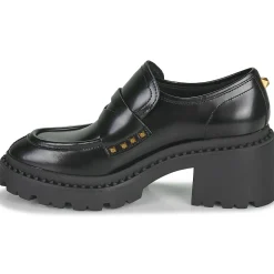Ash - NELSON STUD Noir New