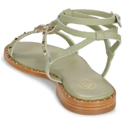 Ash - PENNY Beige Clearance