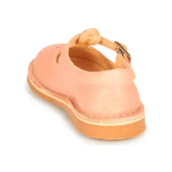 Aster - DINGO Rose Online