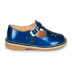 Aster - DINGO Bleu New