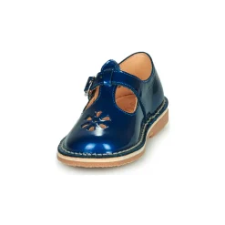 Aster - DINGO Bleu New