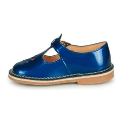 Aster - DINGO Bleu New