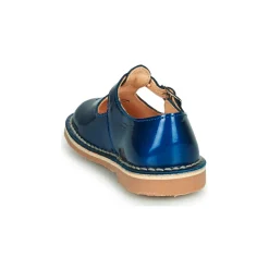 Aster - DINGO Bleu New