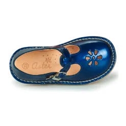 Aster - DINGO Bleu New